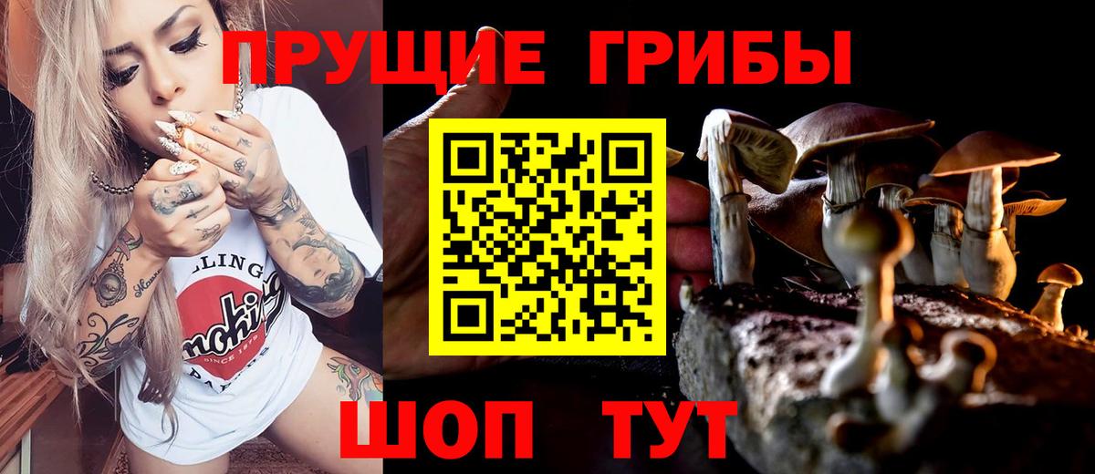 Псилоцибиновые грибы ЛСД Мелеуз